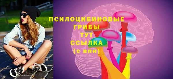 соль ск Алзамай