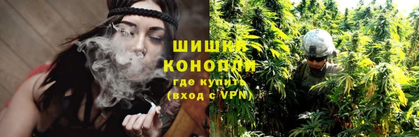 соль ск Алзамай