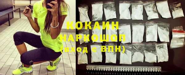 гашик Алексеевка