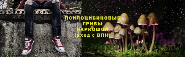 гашик Алексеевка
