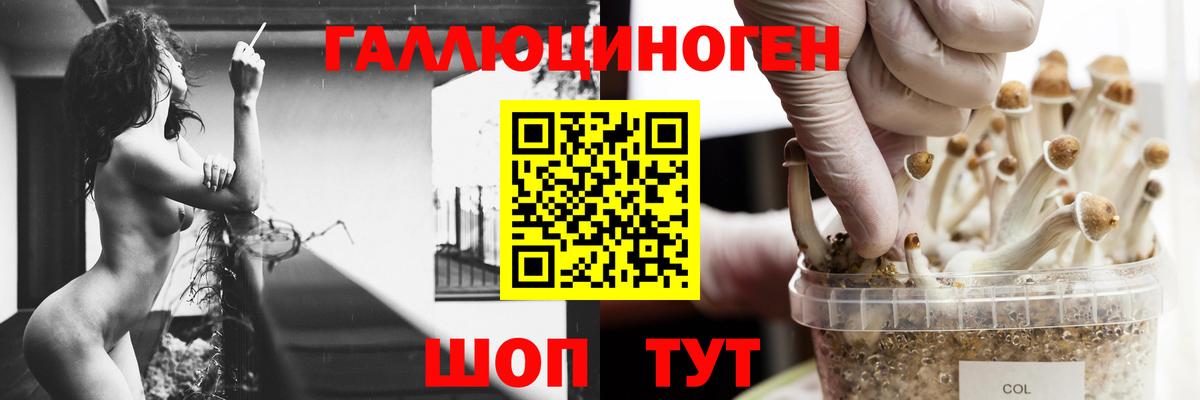 Псилоцибиновые грибы Psilocybine cubensis  Псилоцибиновые грибы Psilocybine cubensis  Вход с VPN  Лобня 